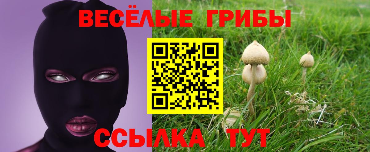 Псилоцибиновые грибы мухоморы  Вход с VPN  Галлюциногенные грибы Psilocybine cubensis  Нарткала 